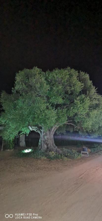 Azienda Multifunzionale S'Ozastro Santa Marinella Εξωτερικό φωτογραφία