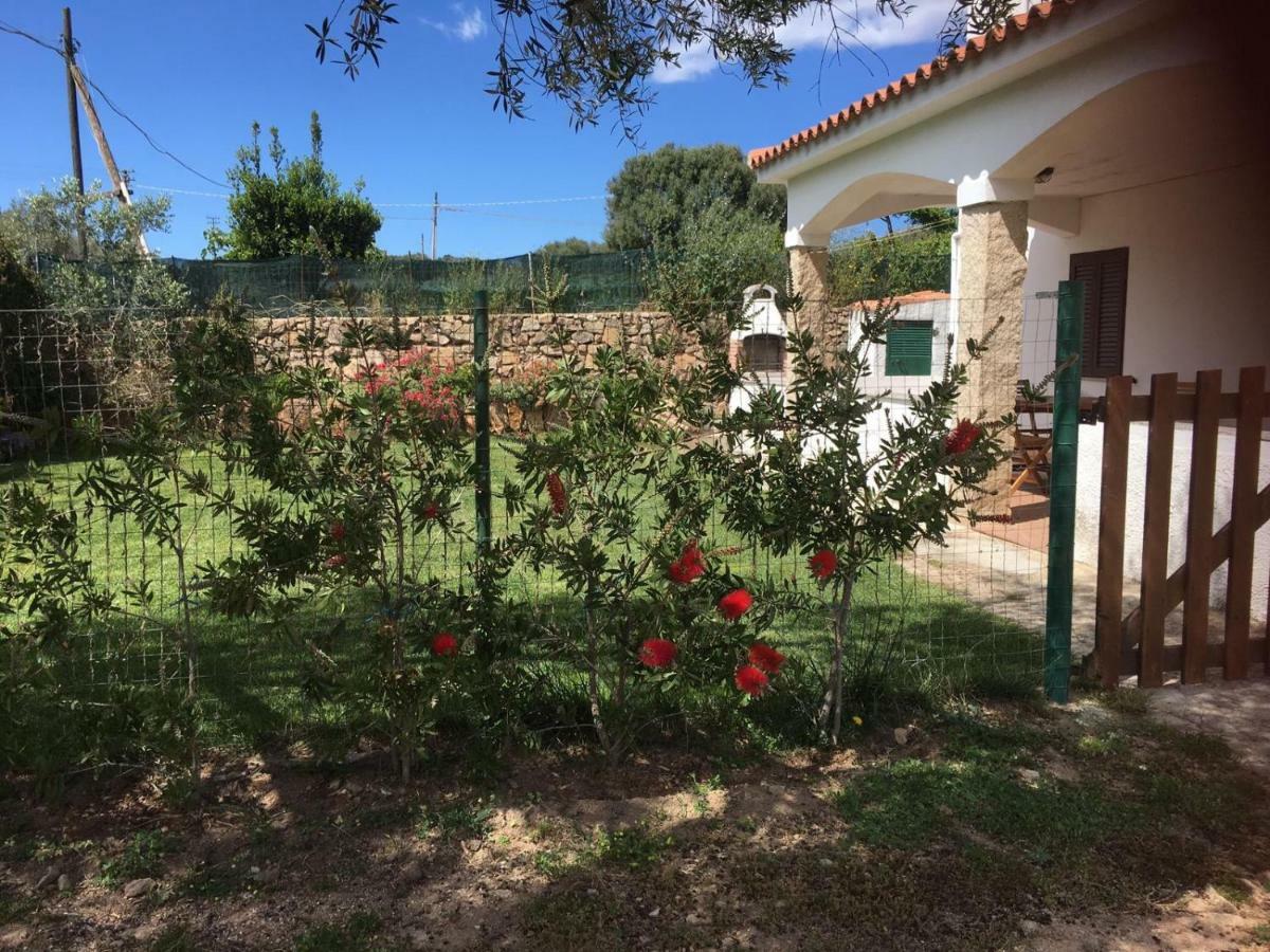 Azienda Multifunzionale S'Ozastro Santa Marinella Εξωτερικό φωτογραφία
