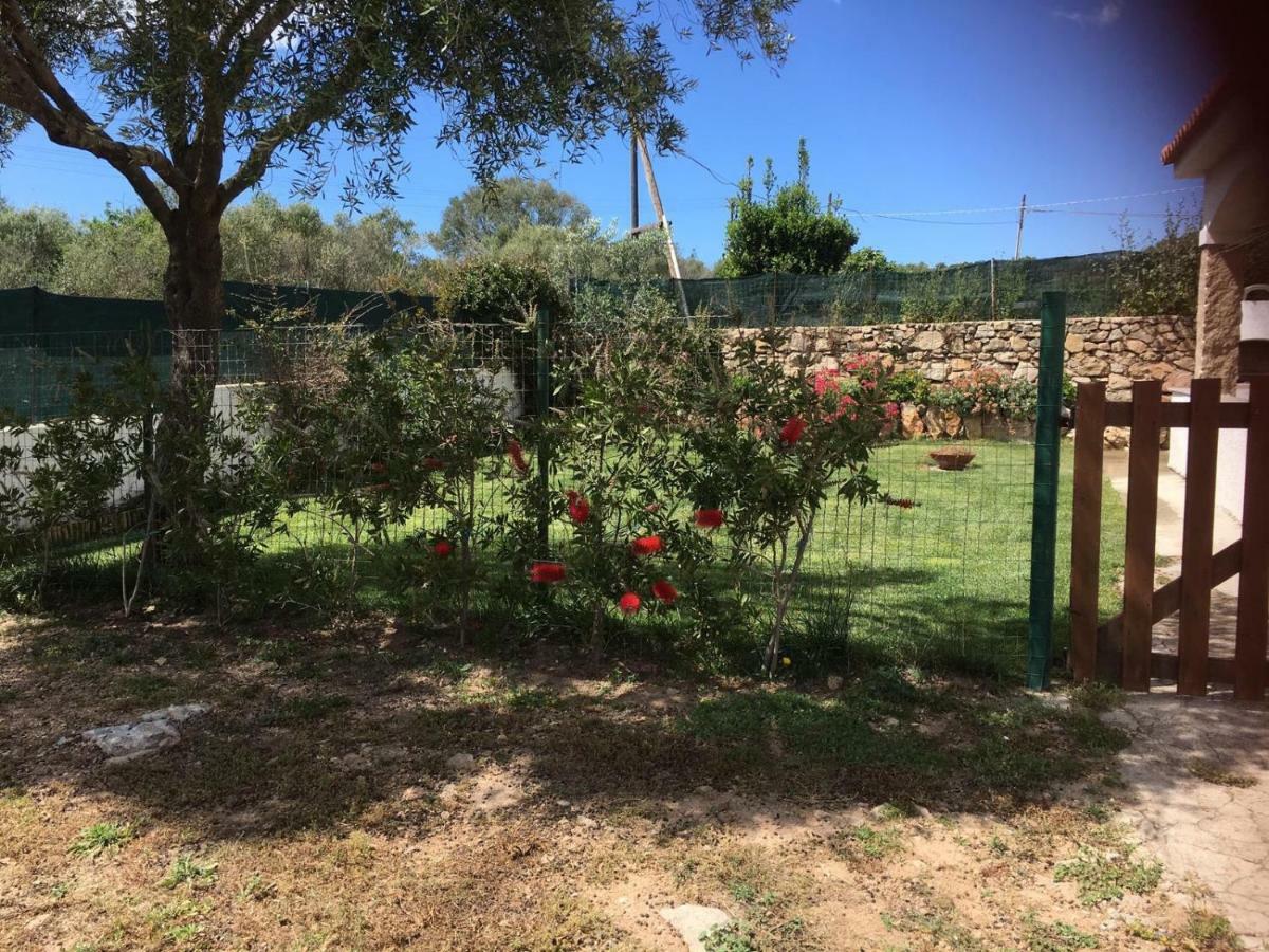 Azienda Multifunzionale S'Ozastro Santa Marinella Εξωτερικό φωτογραφία